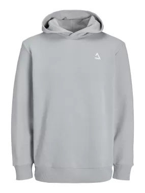 JCOTRIANGLE SWEAT HOOD SN